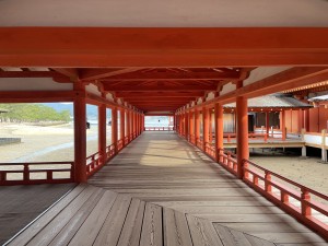 img_9024