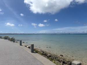 img_0884