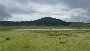 img_8382