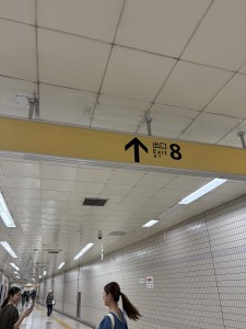 img_1290